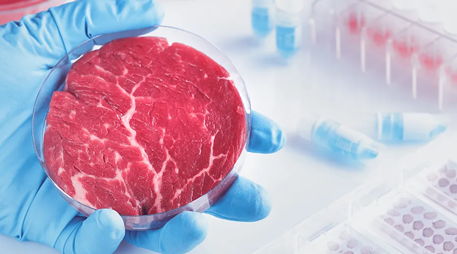 Cultured meat produced in a bioreactor in the laboratory